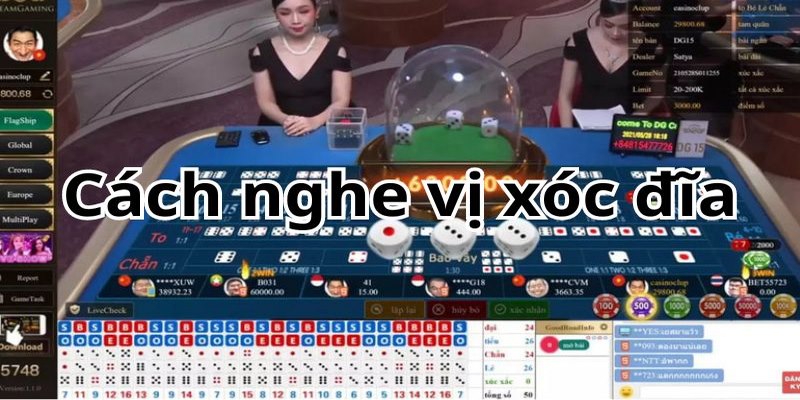 Hướng dẫn cách nghe quân xóc đĩa chính xác cho người mới