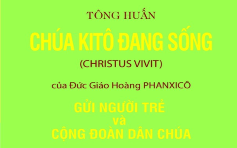 Bệ Thảm Xóc Đĩa Không Dây – Giải Pháp Tinh Vi Cho Người Chơi