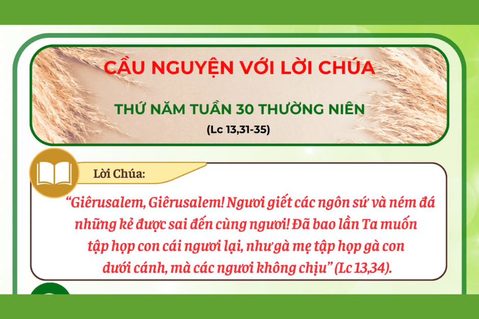 "Baccarat Big Road" Là Gì? Cách Theo Dõi Xu Hướng Để Tăng Tỷ Lệ Thắng