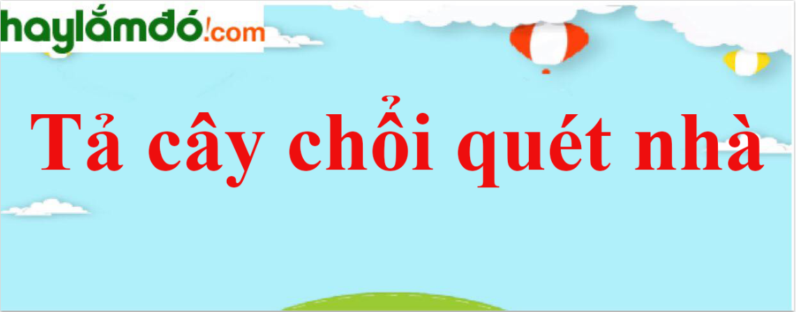 Bài Văn Tả Cái Chổi Quét Nhà Lớp 5 Hay Nhất