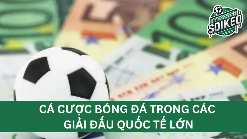 Cập nhật tỷ lệ cược bóng đá trực tuyến trên Tylecacuoc - Tất cả giải đấu lớn trong ngày