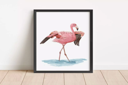 Tìm Hiểu Về Flamingo Hoà Bình: Chim Hồng Hạc Độc Đáo Của Thiên Nhiên