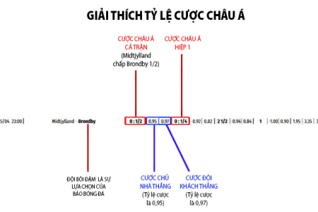 Mẹo soi kèo hay: Phân tích tỷ lệ cá cược nhà cái để chiến thắng!