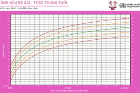 Kinh nghiệm lô đề hiệu quả (Tăng tỷ lệ thắng lên đến 90%)