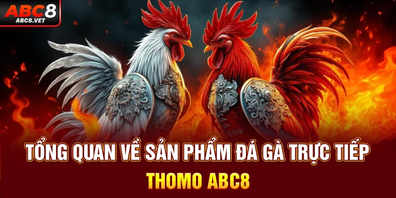 Xem đá gà trực tiếp Thomo ở đâu uy tín? - Tổng hợp link chuẩn!