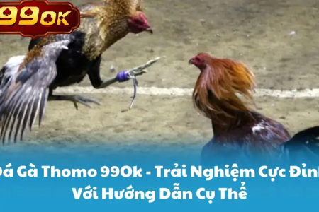 Đá gà Campuchia Thomo – Trực tiếp đá gà từ trường gà uy tín.