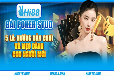 Hướng Dẫn Cách Chơi Poker Từ Cơ Bản Đến Nâng Cao | Dành Cho Người Mới Bắt Đầu