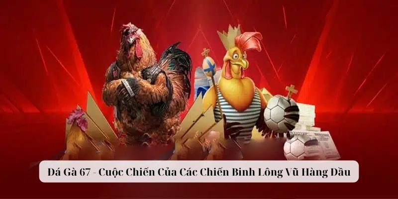 Muốn xem đá gà trực tiếp 67? Vào đây để biết thêm chi tiết!